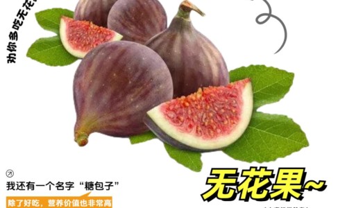 川贝母的功效与作用及禁忌-川贝母的功效与作用及禁忌专区_川贻贝的作用与功效专区_川贻贝的作用与功效网