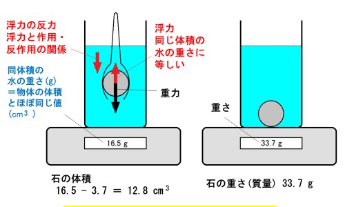 川贝母的功效与作用及禁忌-川贝母的功效与作用及禁忌专区_川贻贝的作用与功效专区_川贻贝的作用与功效网