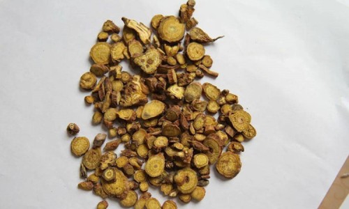 川贝母的功效与作用及禁忌专区_川贻贝的作用与功效专区_川贻贝的作用与功效网