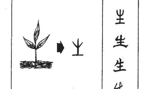 川贝母的功效与作用及禁忌-川贝母的功效与作用及禁忌专区_川贻贝的作用与功效专区_川贻贝的作用与功效网